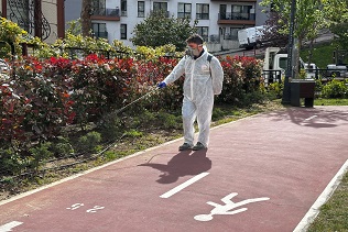KÂĞITHANE’DE HAŞERE VE SİVRİSİNEKLERE KARŞI YOĞUN MÜCADELE